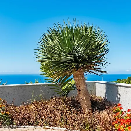 Villa Pinheira Iv -heated Swimming Pool