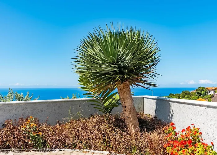 Villa Pinheira Iv -heated Swimming Pool